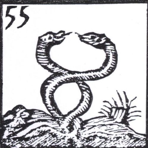 V serpente